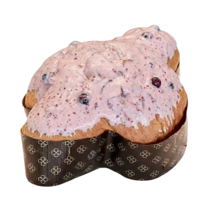 colomba foresta nera